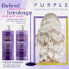 Picture of Natural Riches Purple Shampoo and Conditioner Set Sulfate Free Salon Grade for Silver Blonde Platinum Hair. Removes Yellow & Brass tones. Grey Highlighted Hair 16x2 fl oz