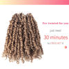 Picture of The BOHOBABE Crochet Passion Twist Hair Pretwisted 10 Inch Short Pre-looped Passion Twist Crochet Braiding Hair 8 Packs (27#)