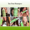 Picture of Tea Tree Oil Shampoo Sulfate Free - Deep Cleansing Vegan Tea Tree Shampoo for Oily Hair and Scalp - Daily Clarifying Shampoo for Build up with Rosemary Essential Oil for All Hair Types 25 Fl Oz