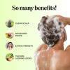 Picture of Tea Tree Oil Shampoo Sulfate Free - Deep Cleansing Vegan Tea Tree Shampoo for Oily Hair and Scalp - Daily Clarifying Shampoo for Build up with Rosemary Essential Oil for All Hair Types 25 Fl Oz