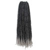 Picture of The BOHOBABE Long Pre-twisted Passion Twist Crochet Hair 24 Inch Pre-looped Long Ombre Gray Crochet Passion Twist Braiding Hair 8 Packs Soft Bohemian Twists (T1B/grey)