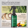 Picture of Rosemary Water Spray for Hair Growth, Rosemary Hair Growth Scalp Spray & Rice Water & Batana Oil, with Biotin, Citrus Peel and Mint to Strengthen Strands and Promote Hair Growth, 4.2 fl oz