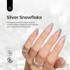 Picture of beetles Nail Art Gel Liner Polish- 2 Pcs Reflective Glitter Gel Nail Polish, Sliver Metallic Gel Liner Nail Polish Glitter Sparkle Chrome Effect Metal Painted Gel Nail Art Design Set