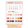Picture of CANNI CC3 Gel Nail Polish Set with Color Card, 30Pcs Jelly Pink Gel Polish Nude Jelly Brown Color High Gloss Soak Off U V Gel Nail French Nail Manicure Salon DIY