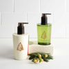 Picture of Thymes Hand Lotion - 8.25 Fl Oz - Frasier Fir