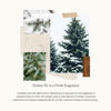 Picture of Thymes Hand Lotion - 8.25 Fl Oz - Frasier Fir