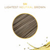 Picture of Clairol Professional Permanent Liquicolor, 5n Lightest Neutral Brown, 2 oz. - Packaging May Vary