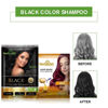 Picture of Herbishh Natural Hair Dye Shampoo with Argan Mask - Long-Lasting Color for Gray Hair - Travel Size, 10+1 Pack, Ammonia-Free (Black)