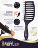 Picture of BEAUXSOI Vented Detangling Brush for Wet or Dry, Thick, Coily, and Curly Hair | Curved Vent Brush for Blow Drying