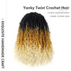 Picture of Toyotress Yanky Twist Crochet Hair - 6 Inch 8 Packs (30 Strands/Pcs) Fluffy Spring Mini Twist Passion Twist, 3 Tones Ombre Blonde Pre-Looped Crochet Braids Braiding Hair (6 Inch, OT27/613-8P)