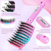 Picture of Boar Bristle Hair Brush Curved Vented Detangler Brush Faster Blow Drying, Paddle Detangling Brush for Women Men Kids Wet Dry Long Curly Thick Straight Hair, Make Hair Shiny and Healthier(Purple+Green)