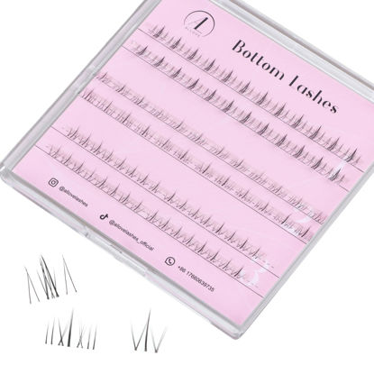 Picture of ALLOVE Bottom Lash Clusters Individual Lashes Multi-type Mixed Under DIY Lash Extensions Lower Eyelash Clusters Bottome Lashes for Self Application at Home