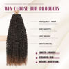 Picture of Dansama Passion Twist Hair Water Wave Braiding Hair for Butterfly Style Crochet Braids Bohemian Hair Extensions (24inch (Pack of 7), T1B/30)