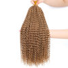 Picture of Dansama 7 Packs Passion Twist Hair Water Wave Braiding Hair for Butterfly Style Crochet Braids Bohemian Hair Extensions (24inch (Pack of 7), #27)