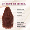 Picture of Dansama Passion Twist Hair 6 Packs Water Wave Braiding Hair for Butterfly Style Crochet Braids Bohemian Hair Extensions (18inch, #350, Economy Pack)