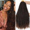 Picture of Dansama Passion Twist Hair Water Wave Braiding Hair for Butterfly Style Crochet Braids Bohemian Hair Extensions (18inch (Pack of 7), T1B/30)