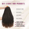 Picture of Dansama Passion Twist Hair Water Wave Braiding Hair for Butterfly Style Crochet Braids Bohemian Hair Extensions (18inch (Pack of 7), T1B/30)
