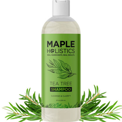 Picture of Clarifying Shampoo for Build Up & Oily Hair - Tea Tree Shampoo for Men and Women with Rosemary Essential Oil for Oily Hair and Scalp - Color Safe Vegan Sulfate Silicone & Paraben Free (8 Fl Oz)