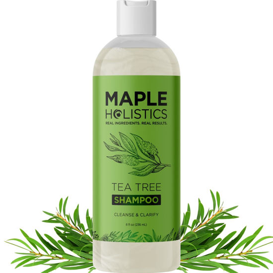 Picture of Clarifying Shampoo for Build Up & Oily Hair - Tea Tree Shampoo for Men and Women with Rosemary Essential Oil for Oily Hair and Scalp - Color Safe Vegan Sulfate Silicone & Paraben Free (8 Fl Oz)