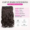 Picture of REECHO 24" 1-Pack 3/4 Full Head Curly Wave Clips in on Synthetic Hair Extensions HE008 Hairpieces for Women 5 Clips per Piece-Dark Brown
