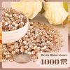 Picture of 4000PCS 5mm Resin Rhinestones Bulk for Crafting (Champagne), Flatback Bedazzling Crystals for Crafts DIY Nail Decoration, Gems Charms for Tumbler Shoes Clothing Fabric with Pickup Pen and Tweezers
