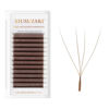 Picture of Lash Extensions Brown 4D Eyelash Extensions W Lashes 0.07mm Thickness D Curl Lashes Mix 8-15mm Colored Lashes Soft Lash Trays Pestañas Pelo a Pelo Individual Lashes(W-Brown-4D-0.07-D,8-15mm)