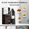 Picture of Joyful Young Natural Hair Dye Shampoo 3 IN 1, Hair Color for Gray Hair Coverage, Hair Coloring Shampoo for Women, Color Shampoo Beard Dye for Men, Vegan Ammonia Free (Dark Brown)