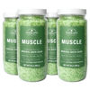 Picture of Village Naturals Therapy, Muscle Concentrated Mineral Bath Soak, Eucalyptus Mint Scent, 20 oz, Pack of 4