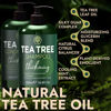 Picture of Tea Tree Shampoo and Conditioner Set | Thinning Hair Loss Treatment for Men and Women | Soothes Itchy Scalp, Dandruff