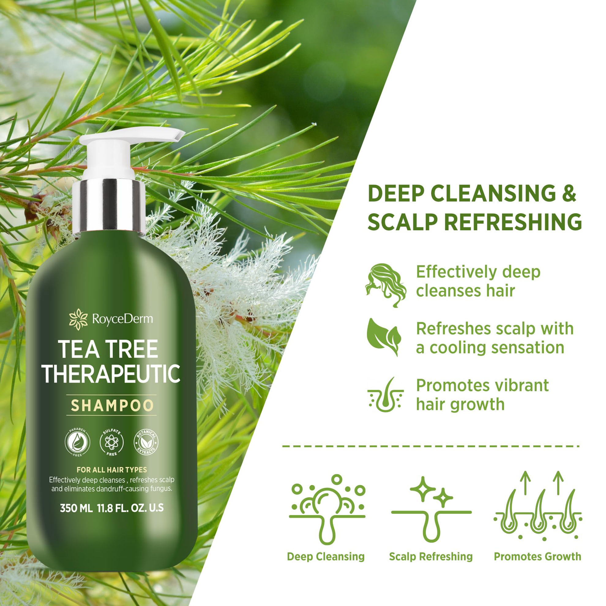 GetUSCart- Roycederm Tea Tree Antifungal Shampoo: Folliculitis Shampoo ...