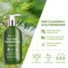Picture of Roycederm Tea Tree Antifungal Shampoo: Folliculitis Shampoo for Dry Scalp, Dandruff, and Itchy Scalp - Medicated Clarifying shampoo with Tea Tree Oil, Paraben & Sulfate Free