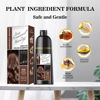 Picture of Joyful Young Natural Hair Dye Shampoo 3 IN 1, Hair Color for Gray Hair Coverage, Chestnut Brown Hair Coloring Shampoo for Women, Color Shampoo Beard Dye for Men, Vegan Ammonia Free (Chestnut)