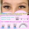 Picture of wiwoseo Invisible Band Lash Clusters Natural Eyelash Clusters Wispy Cluster Eyelash Extensions Clusters Lashes Natural Look Eyelashes Natural Lash Clusters Clear Band Lashes for Beginners (10-14MM)