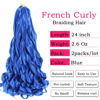 Picture of French Curly Braiding Hair 24 Inch Blue Color - Pre Stretched Bouncy Braiding Hair- Loose Wavy Braiding Hair Synthetic Hair Extensions For Black Women (24 inch 2 packs, Blue)