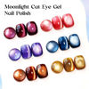 Picture of MIZHSE Cat Eye Gel Nail Polish Set 6 Colors Winter Colorful Ceramic Magnetic Gel Nail Polish with Magnet Stick Trendy Salon Gel French Gel Polish Kit Gift Set DIY at Home