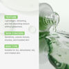 Picture of Medicube Exosome Cica Tea Tree Ampoule for Sensitive Skin with Centella Asiatica help reduce redness and breakouts. Low-irritating, Moisturizing & Soothing Serum | Korean Skincare | 30ml