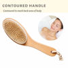 Picture of 100% Natural Boar Bristle Body Brush with Contoured Wooden Handle by TOUCH ME