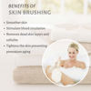 Picture of 100% Natural Boar Bristle Body Brush with Contoured Wooden Handle by TOUCH ME