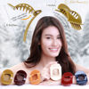 Picture of RC ROCHE ORNAMENT 6 Pcs Womens Square Strong Grip Secure Hold Inner Teeth Styling Plastic Comfortable Curve No Slip Beauty Accessory Girls Ladies Claw Clamp Clip, Medium Classic