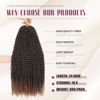 Picture of Dansama 6 Packs Passion Twist Hair Water Wave Braiding Hair for Butterfly Style Crochet Braids Bohemian Hair Extensions (24inch, T1B/30, Economy Pack)