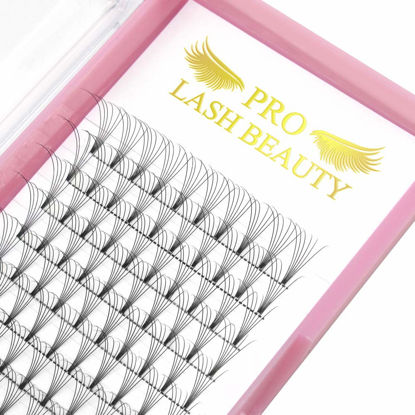 Picture of Premade Fans Eyelash Extensions 6D-C-0.10-13 Short Stem Premade Volume Eyelash Extensions .07 .10 C D Curl Pre made Lash Fans 9 to 20 mm Volume Lash Extensions (6D-C-0.10,13mm)