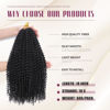 Picture of Dansama Passion Twist Hair Water Wave Braiding Hair for Butterfly Style Crochet Braids Bohemian Hair Extensions (18inch, #2, Economy Pack)