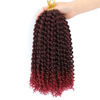 Picture of Dansama Passion Twist Hair Water Wave Braiding Hair for Butterfly Style Crochet Braids Bohemian Hair Extensions (12inch (Pack of 6), T1B/BUG)