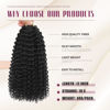 Picture of Dansama 6 Packs Passion Twist Hair Water Wave Braiding Hair for Butterfly Style Crochet Braids Bohemian Hair Extensions (12inch, #2, Economy Pack)