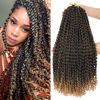 Picture of Dansama Passion Twist Hair Water Wave Braiding Hair for Butterfly Style Crochet Braids Bohemian Hair Extensions (22inch (Pack of 7), T1B/27)