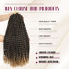 Picture of Dansama Passion Twist Hair Water Wave Braiding Hair for Butterfly Style Crochet Braids Bohemian Hair Extensions (22inch (Pack of 7), T1B/27)