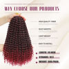 Picture of Dansama Passion Twist Hair Water Wave Braiding Hair for Butterfly Style Crochet Braids Bohemian Hair Extensions (18inch, T1B/BUG, Economy Pack)