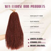 Picture of Dansama Passion Twist Hair Water Wave Braiding Hair for Butterfly Style Crochet Braids Bohemian Hair Extensions (24 Inch (Pack of 7), #350)