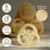 Picture of Chill Ah Green Glow Loofah Sponge Set - 100% Plant-Based, dye-Free, Biodegradable, Scratch-Free, Handcrafted in Vietnam (4-Pack)