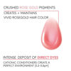 Picture of Watercolors Intense Metallic Color Depositing Sulfate & Paraben Free Shampoo, Maintains & Enhances Haircolor - Rose Gold 8.5 oz